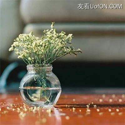 未来战机破解版下载