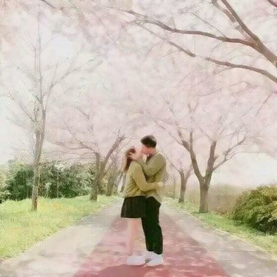 龙雀私服手游